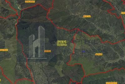 Teren de vânzare – 9.845 mp în mijlocul naturii, Aluniș, Prahova - 4