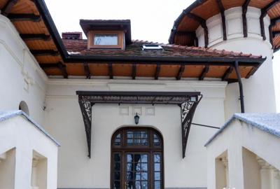 Casă cu 7 camere cu Teren 18000 Mp în Agapia - 16