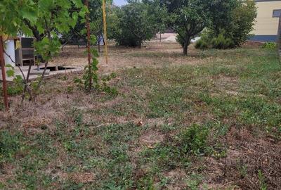 CASA SUPERBA 4 CAMERE ZONA VALU LUI TRAIAN 933MP - 35