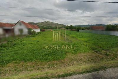 Teren Construcții intravilan de 3544 mp, în Uileacu de Criș - 2