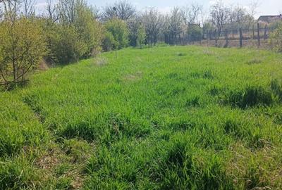 Casă cu 1 camere cu Teren 1972 Mp în Păuliș - 6