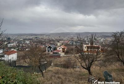 Teren de vanzare, 976 mp, Dambul Rotund - 2