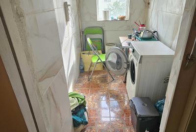 Lacul Tei, Maica Domnului aproape Parcul Circului - 8