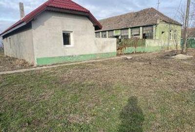 Teren de 8934 mp, în Foeni - 1