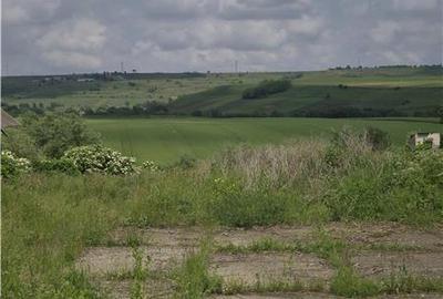 Teren intravilan de 1950 mp, în Moara Nica - 4