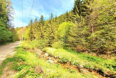 Teren 4176 mp pe Malul Raului - Santa, Sibiu