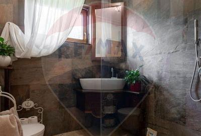 Casa spectaculoasa in Media? re?edin?a antrenor... Casa spectaculoasa in Media? re?edin?a antrenor... - 10