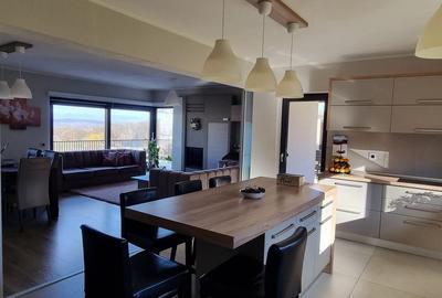 Duplex cu 4 camere cu Teren 690 Mp în Făget - 12