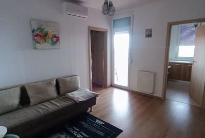 Apartament cu 2 camere, mobilat în Micălaca - 12