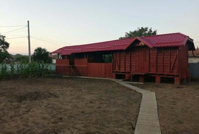 Casă cu 4 camere în Obârșia - 9