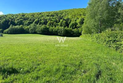 Teren intravilan constructii cu autorizatie constructie casa - Cisnadie - Sibiu - 5