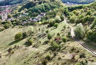 Teren intravilan cu vedere panoramică  4230mp - Mediaș - 7