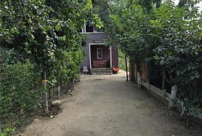 Vila Bolintin Vale - 10