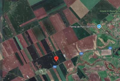 -teren extravilan, com. Satchinez, jud. Timis - 8