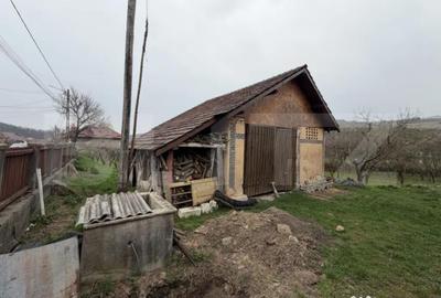 Casă cu 3 camere cu Teren 1000 Mp în Central - 6