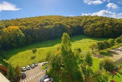 3D!Rezidenta decomandata,mobilata, accesorizata,priveliste montana,Racadau, Bras - 3