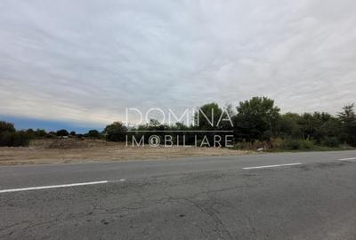 Teren intravilan, 3.063 mp, str.Merilor, zona in dezvolta - 1