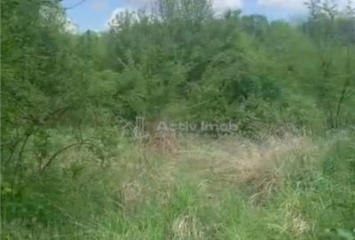 Teren în Găneasa - 2