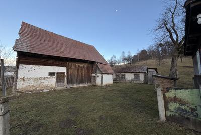 Casă 3 camere 65 mp + teren 3.134 mp Boroșneu Mic - 4