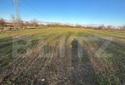 Casa batraneasca de vanzare, 48 mp, zona Patroaia Deal cu C - 1