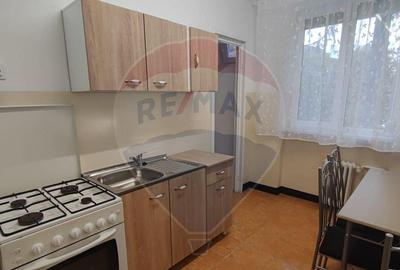 De inchiriat apartament 3 camere spatios etaj 1 Splaiul C... - 4