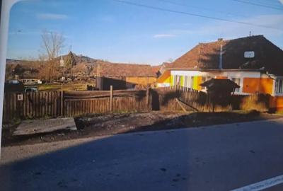 De vinzare sau inchiriez in termen lung - 1