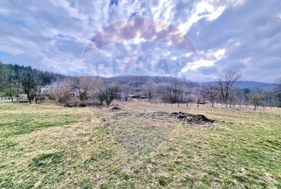 Teren Construcții intravilan de 2286 mp, în Vest - 4