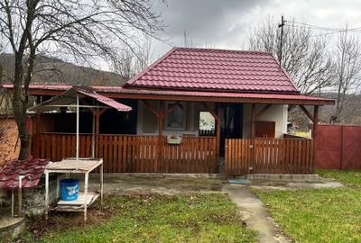 Casă cu 2 camere în Bunești - 3