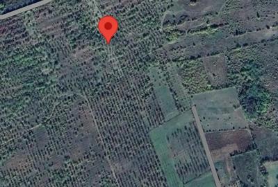 Teren de 2800 mp, în Lunca Frumoasă - 1