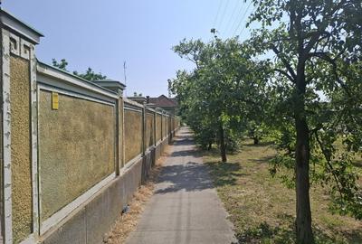 CASĂ MARE in Nadlac cu teren generos 2095mp - 5