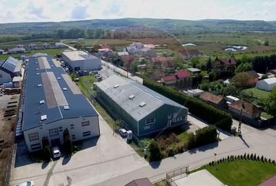 Spațiu industrial, de 731.39001464844 mp, în Jucu de Mijloc - 9