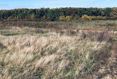 RECO Teren intravilan Cihei - 1