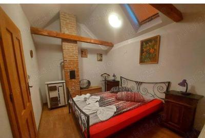 Casă cu 3 camere în Sasca Montană - 6