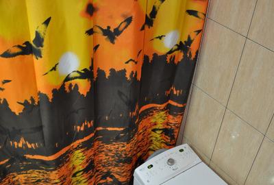 Garsonieră în Take Ionescu - 3