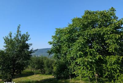 Casă cu 6 camere cu Teren 12900 Mp în Cotnari - 2