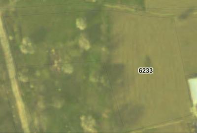 Teren de 803 mp, în Copăceni - 3