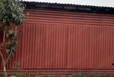 Inchiriere HALA metalica Timi?oara - 4