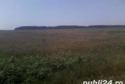 Teren de 12200 mp, în Mihăilești - 5