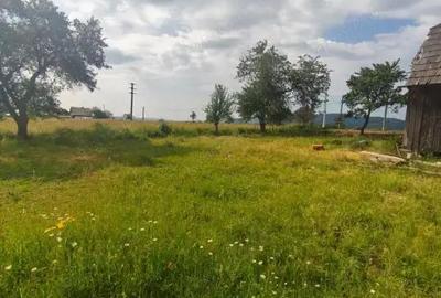Casă cu 3 camere cu Teren 5000 Mp în Rădăuți
