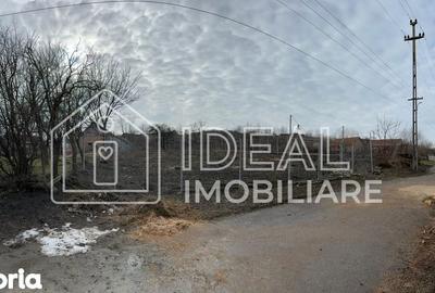 Teren de 1334 mp, în Tilișca - 8