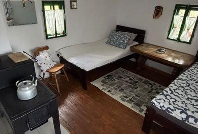 Casă cu 2 camere în Bătrâna - 4