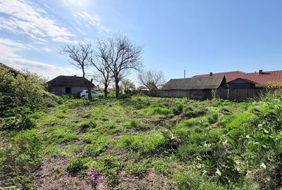 Teren Construcții intravilan de 2591 mp, în Cobadin - 6