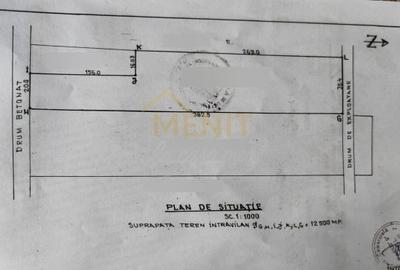 Teren Construcții intravilan de 12500 mp, în Drajna de Sus - 2
