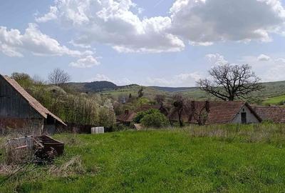 Casă cu 2 camere cu Teren 5300 Mp în Sânpaul - 3