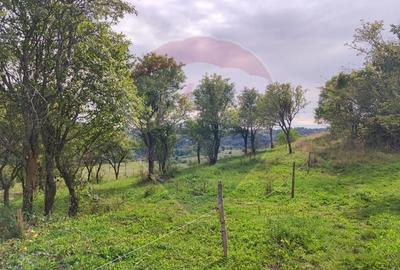 Teren Construcții intravilan de 1500 mp, în Damiș - 5