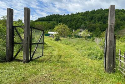 Casă cu 6 camere cu Teren 3426 Mp în Vrâncioaia - 3