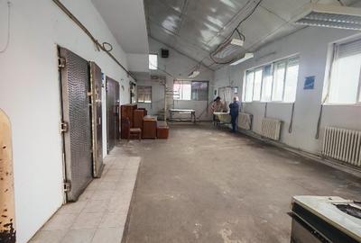 Spațiu industrial, 428 mp în Bărăbanț - 7