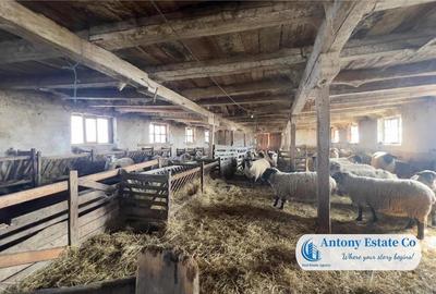 Teren de 675000 mp, în Marghita - 11