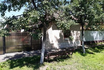 Proprietate completă în Călacea, Timiș – Casă tradițională, livadă productivă și - 3