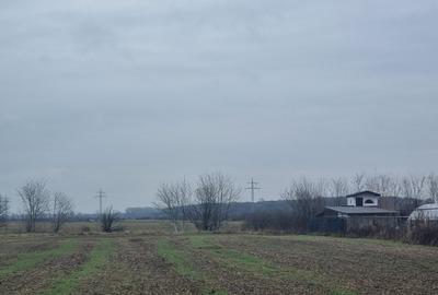 Teren Construcții intravilan de 500 mp, în 1 Decembrie - 12